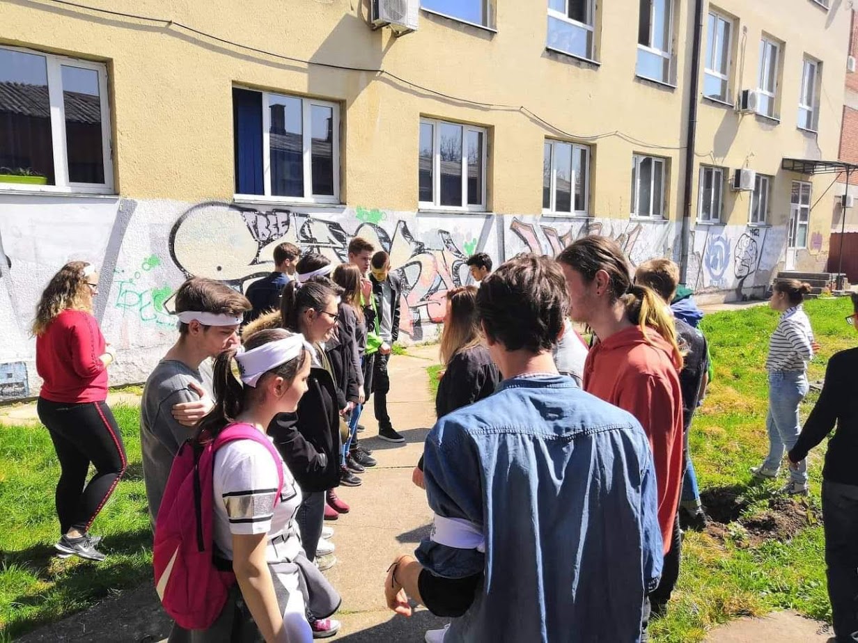 Backyard gymnasium 1