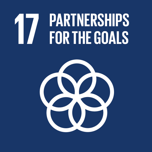 Strengthen the means of implementation and revitalize the Global Partnership for Sustainable Development
